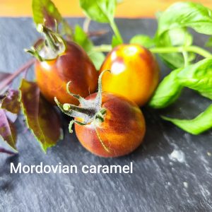 Mordovian Caramel