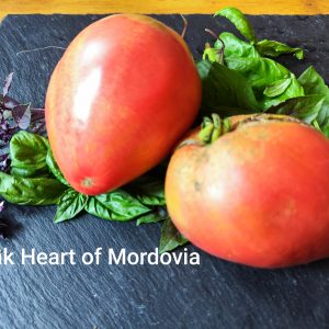 Pink Heart of Mordovia