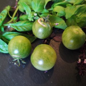 Rozhdestvenskiy podarok