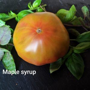 Maple syrup