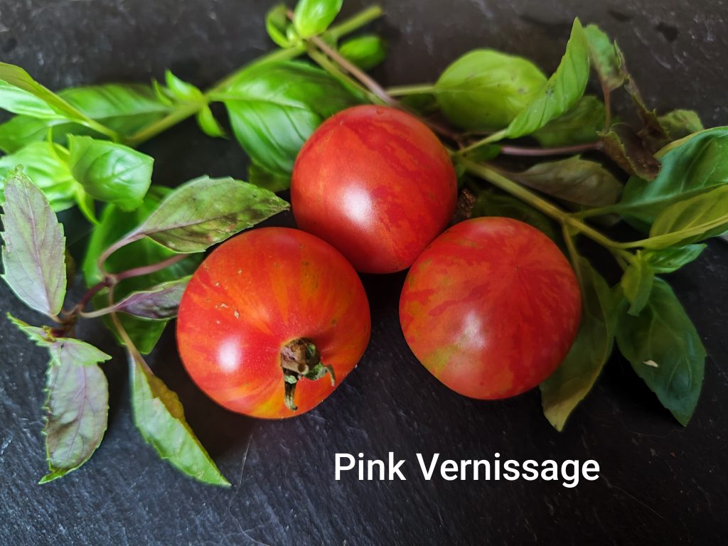 Pink vernissage