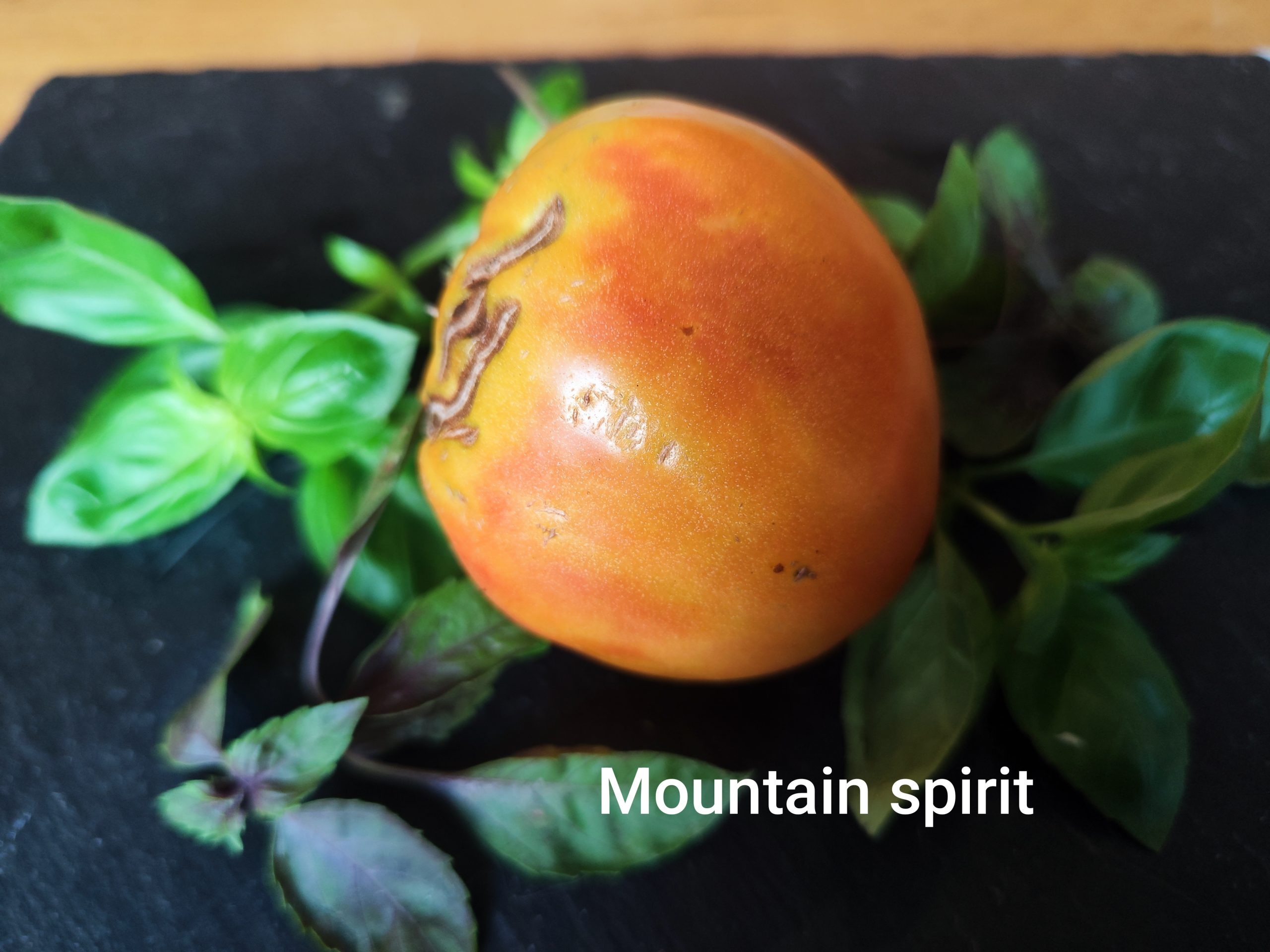 Mountain spirit