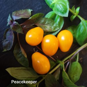 Peacekeeper
