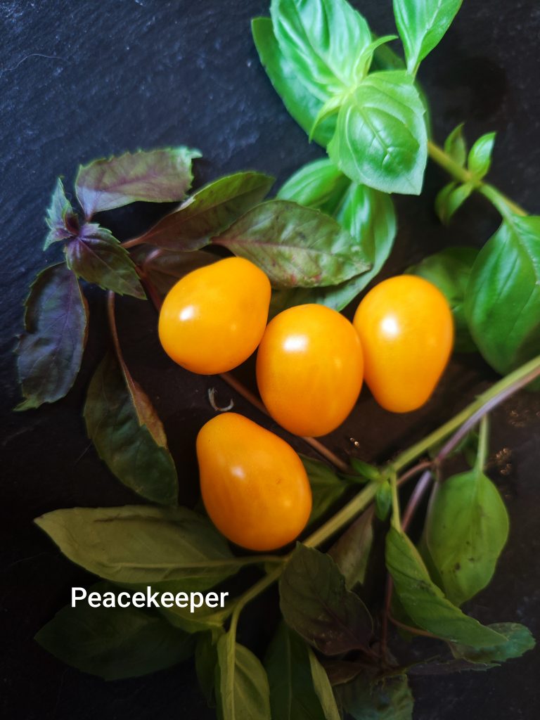 Peacekeeper