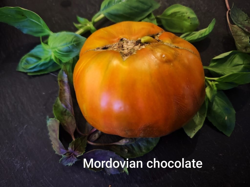 Mordovian chocolate