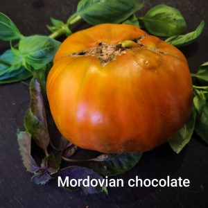 Mordovian chocolate