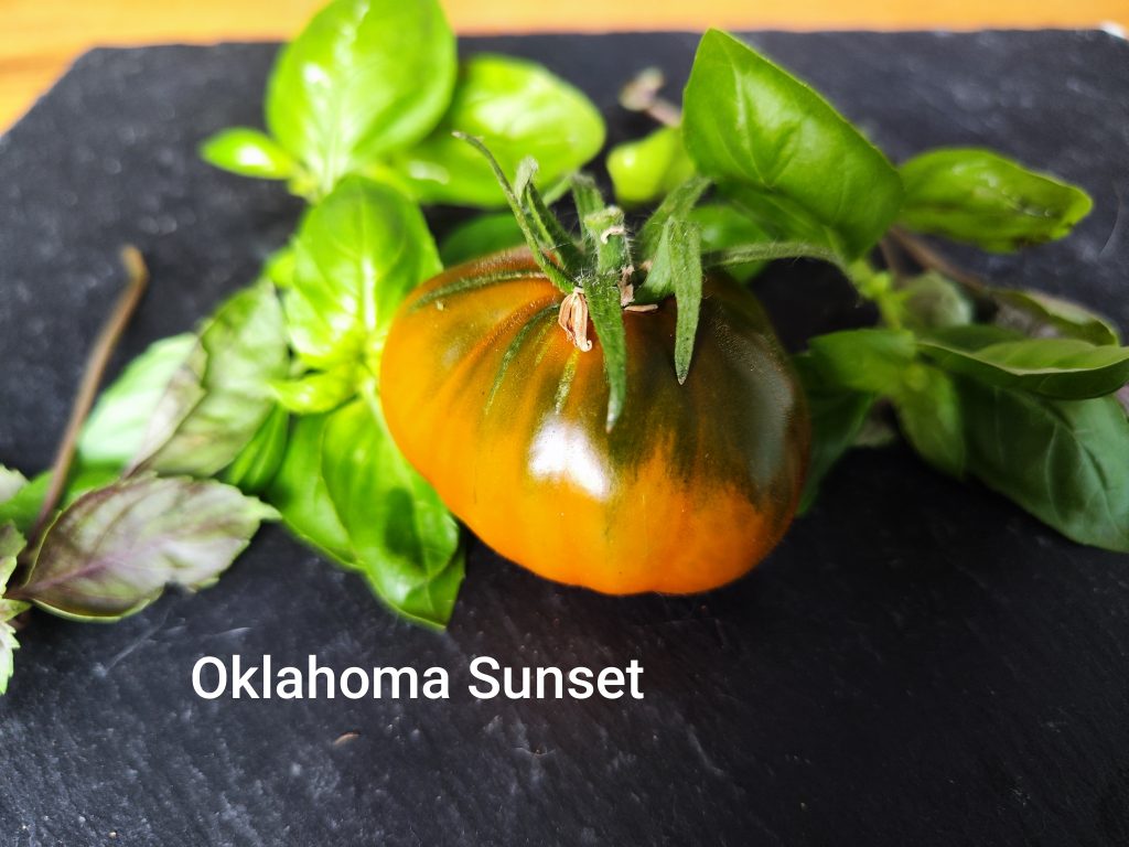 Oklahoma sunset