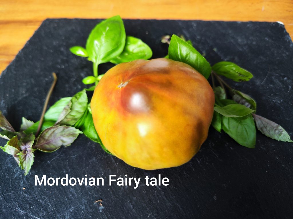 Mordovian fairytale