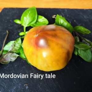 Mordovian fairytale