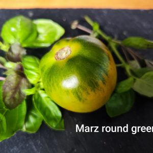 Marz round green
