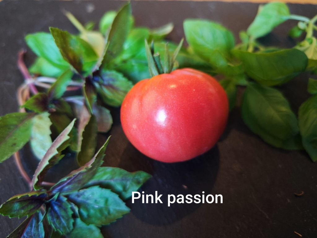Pink Passion