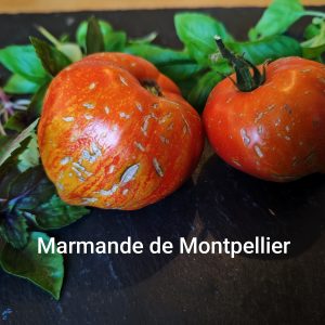 Marmande de Montpellier
