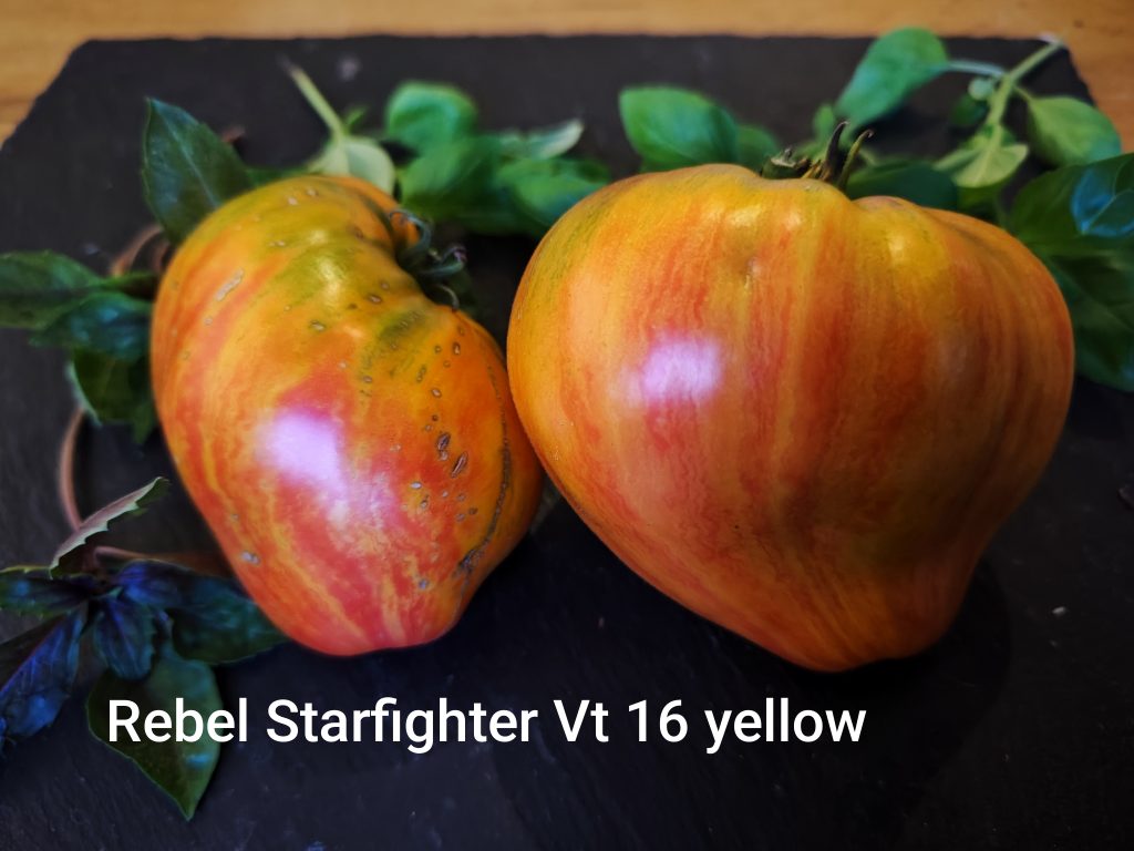 Rebel starfighter VT 16 yellow