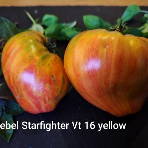 Rebel starfighter VT 16 yellow