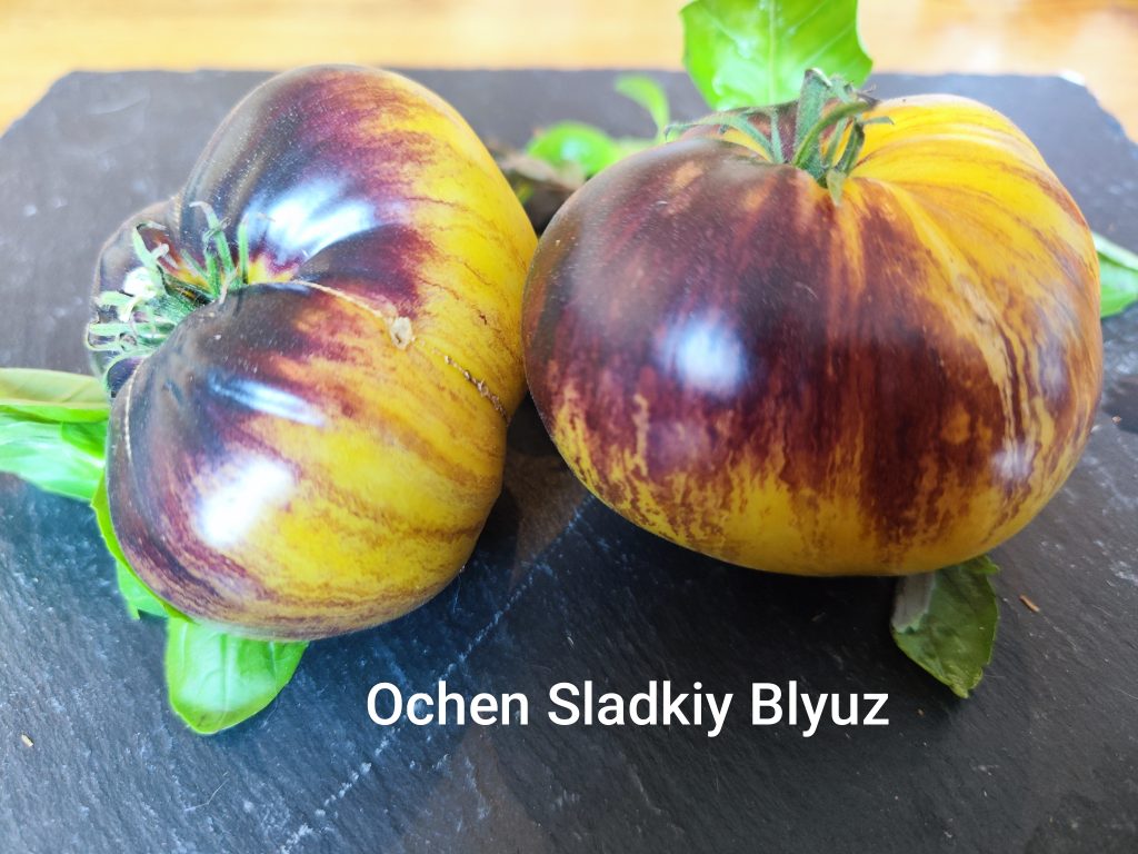 Very Sweet Blues/Ochen Sladkiy Blyuz