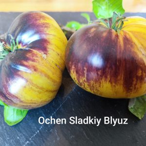 Very Sweet Blues/Ochen Sladkiy Blyuz