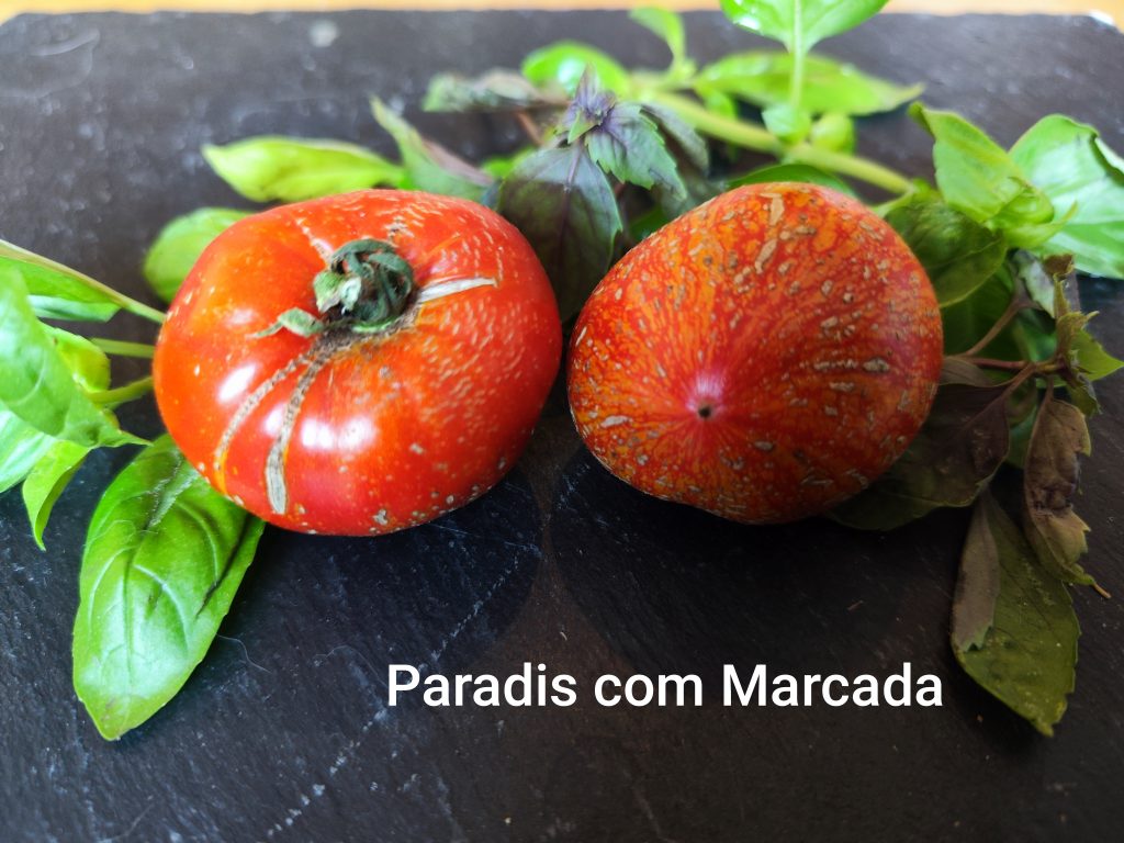 Paradis con Marcada