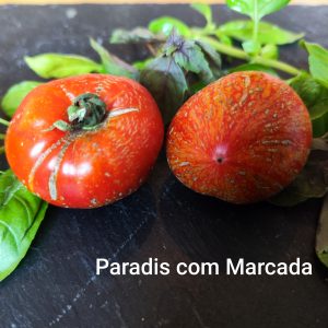 Paradis con Marcada