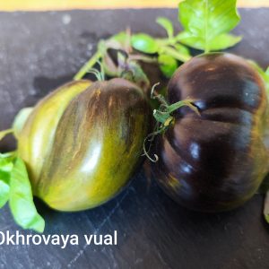 Okhrovaya Vual ( Ochre Veil )