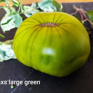 Max´s large green