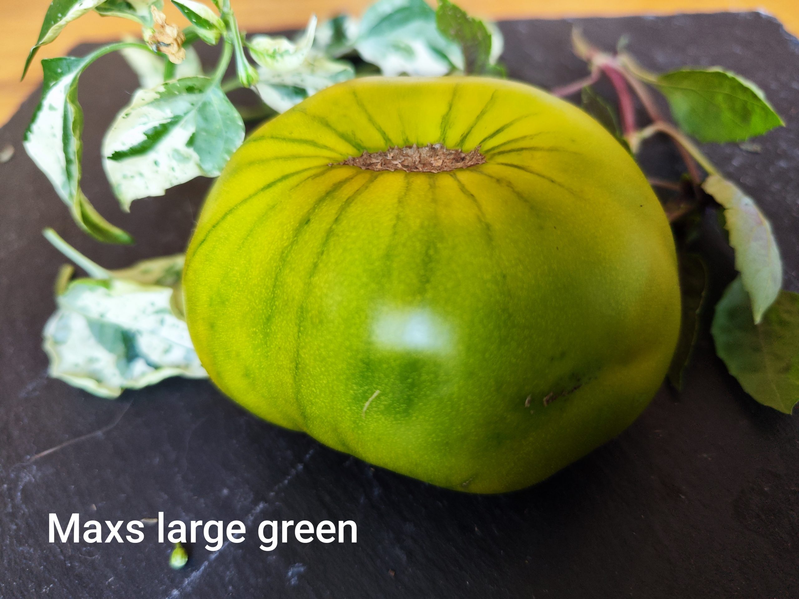 Max´s large green
