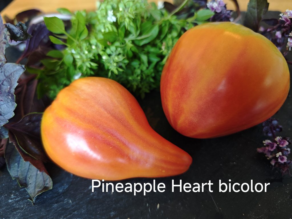 Ananas Heart/ Pineapple Heart