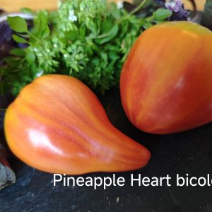 Ananas Heart/ Pineapple Heart