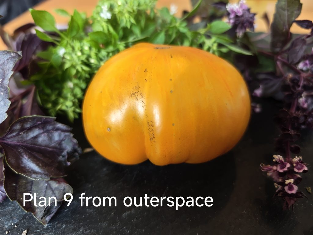 Plan 9 from outerspace