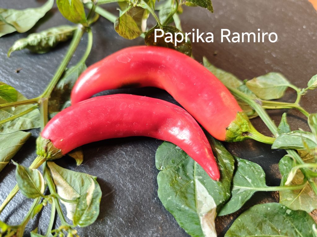 Paprika Ramiro