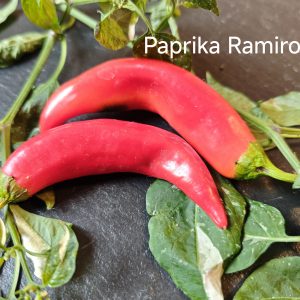 Paprika Ramiro