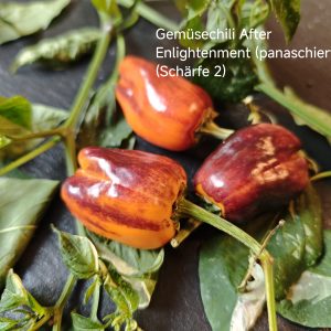 Gemüsechili After Enlightment panaschiert (Schärfe 2)