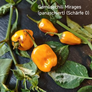 Gemüsechili Mirages panaschiert (Schärfe 0)