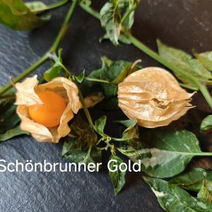 Schönbrunner Gold