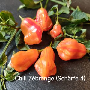 Chili Zébrange (Schärfe 4)