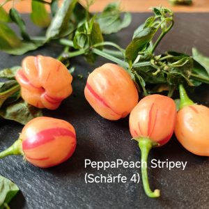 Peppapeach Stripey (Schärfegrad 4)