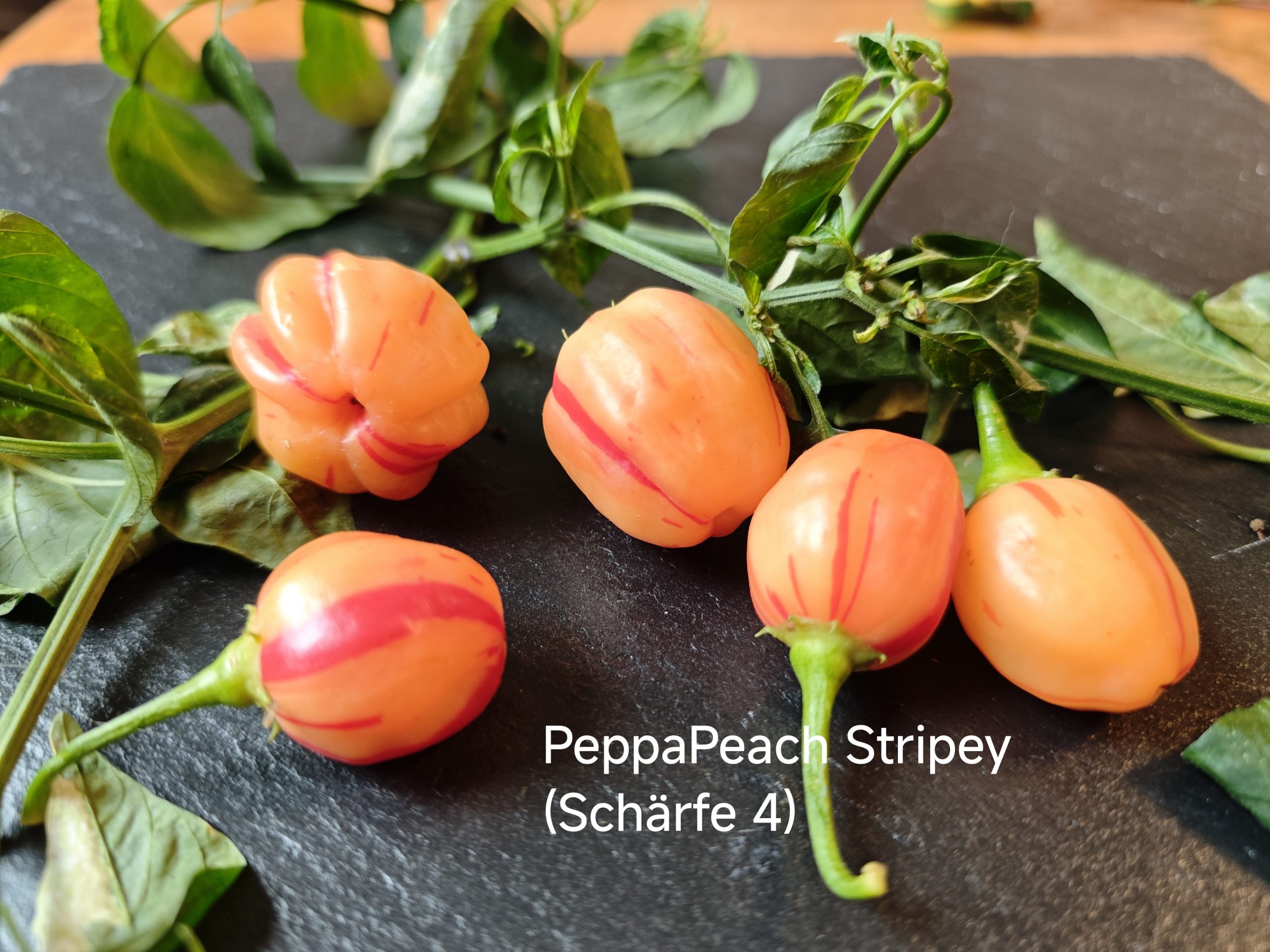 Peppapeach Stripey (Schärfegrad 4)