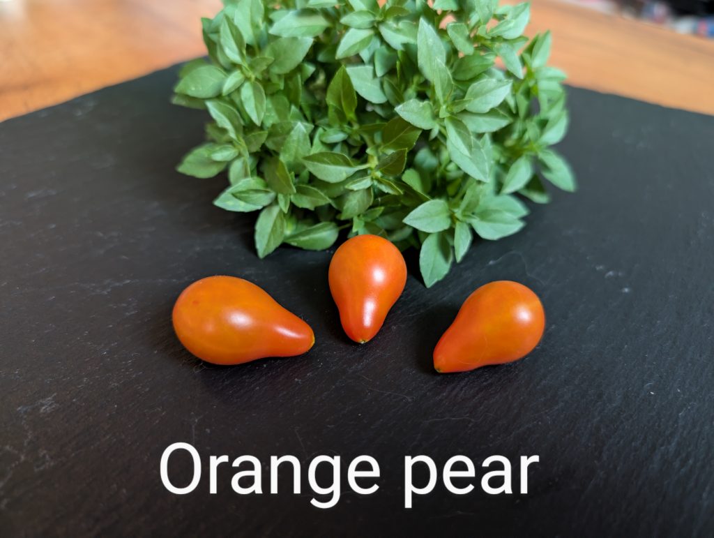 Orange pear