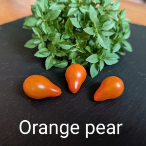 Orange pear
