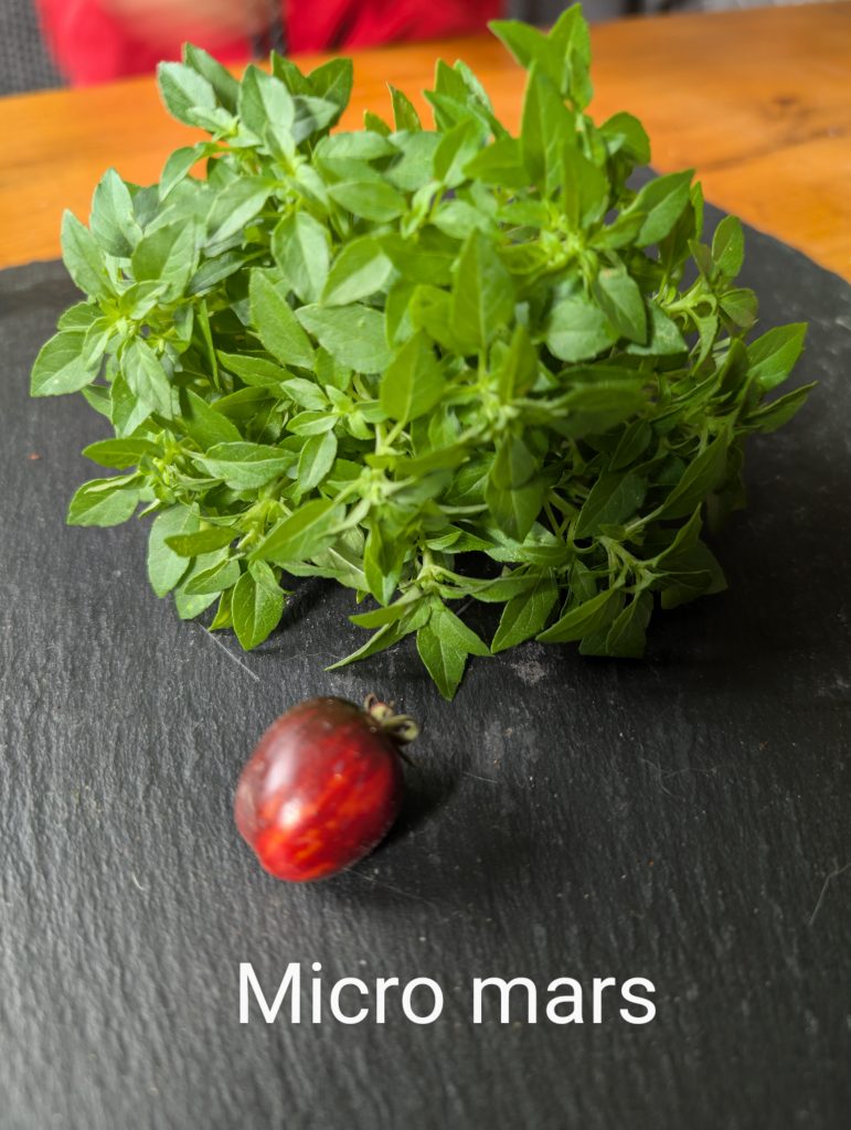 Micro mars