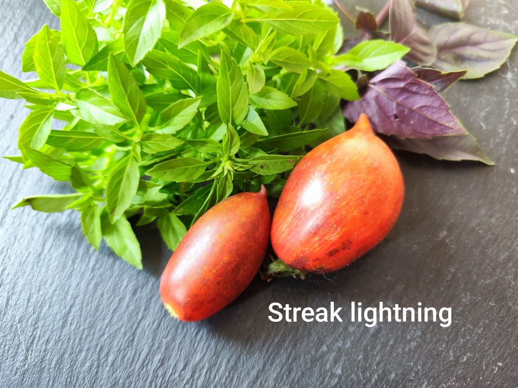 Streak lightning