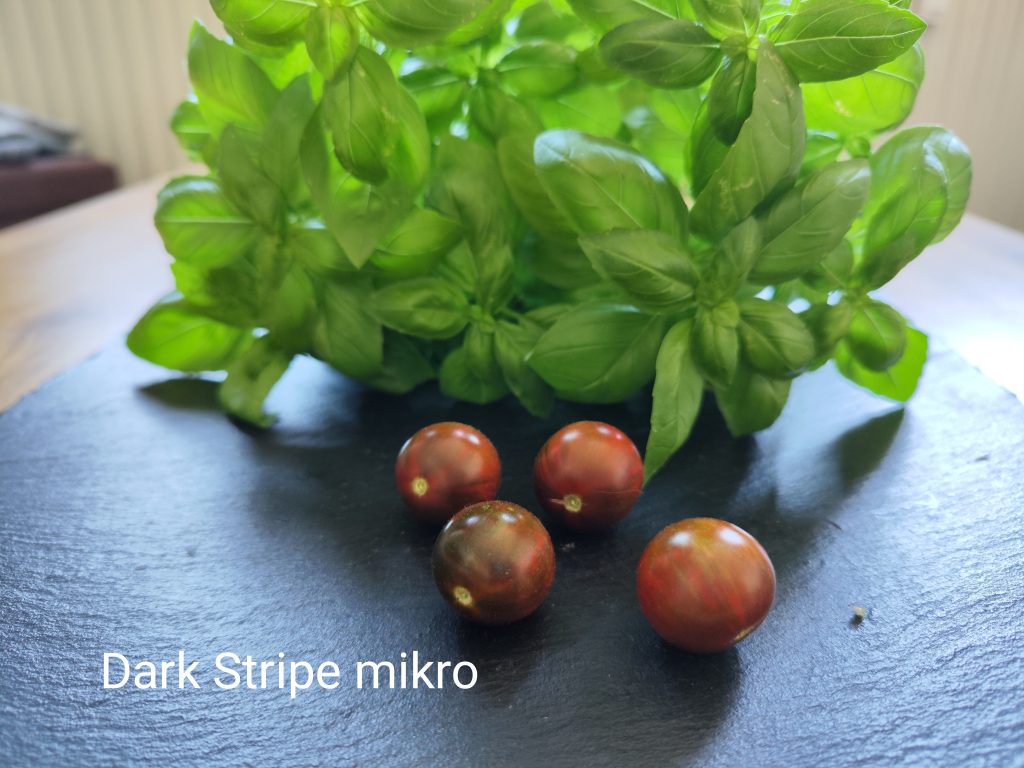 Dark stripe mikro