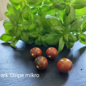 Dark stripe mikro