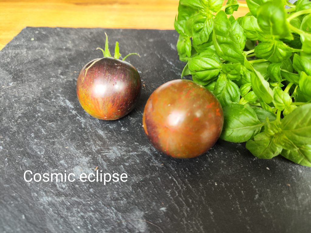 Cosmic eclipse