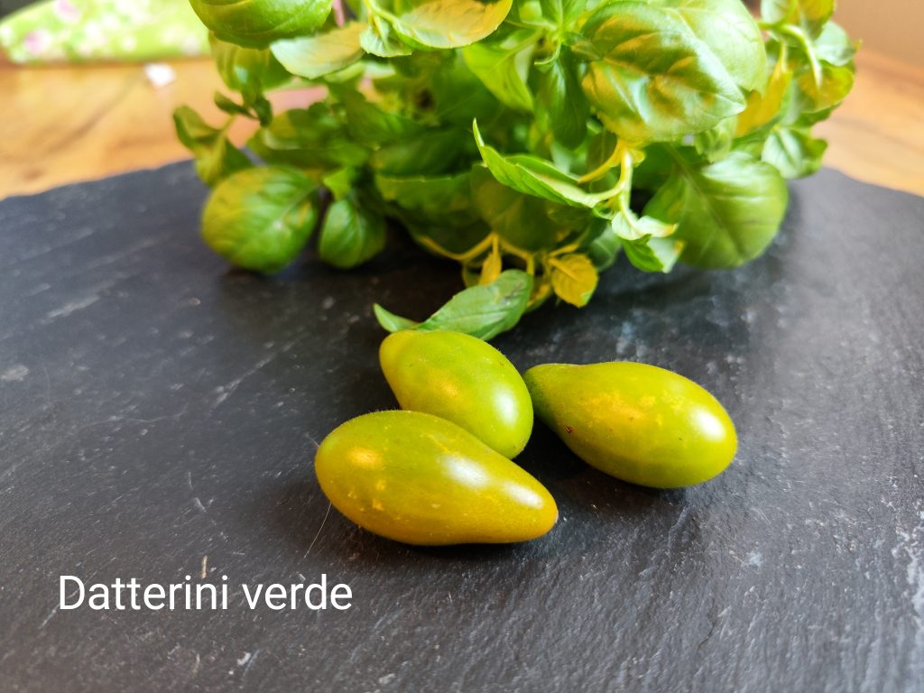 Datterino verde