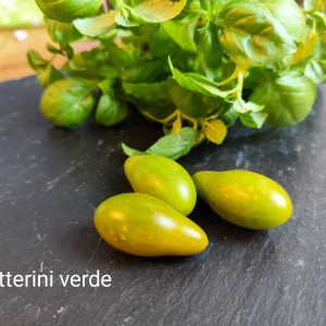 Datterino verde