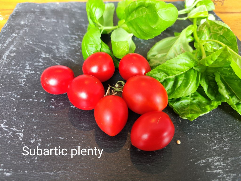 Subartic plenty
