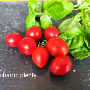 Subartic plenty