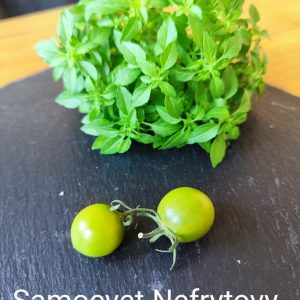Samocvet Nefrytovy