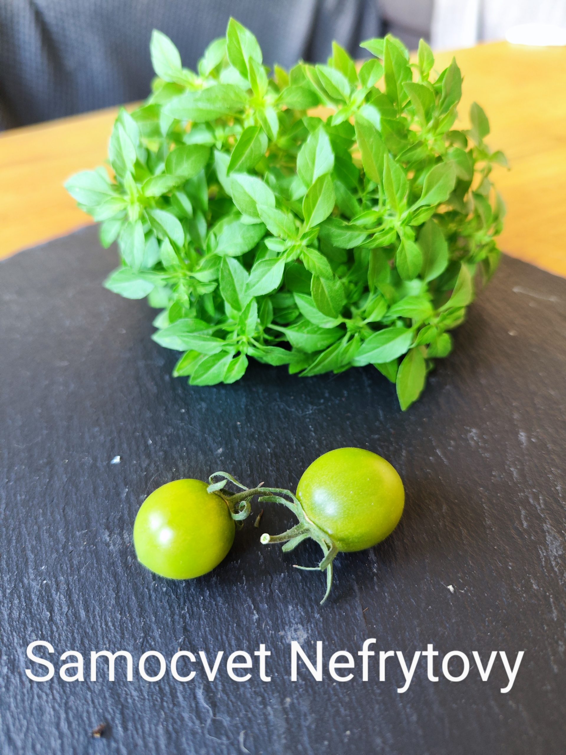 Samocvet Nefrytovy