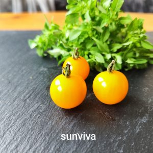 Sunviva